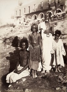 Uma família de Bicharis (impressão de albume)